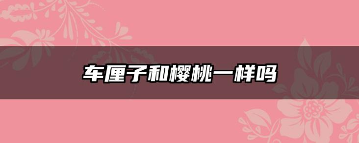 车厘子和樱桃一样吗