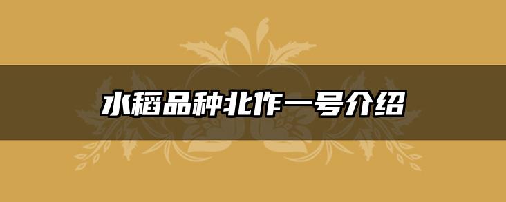 水稻品种北作一号介绍