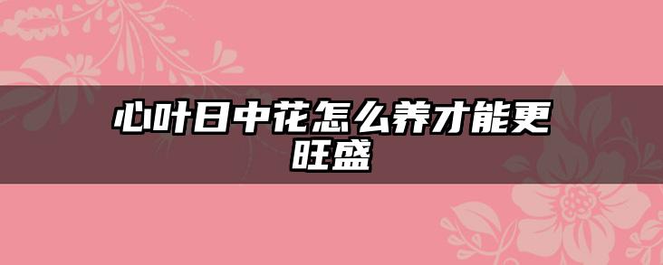 心叶日中花怎么养才能更旺盛