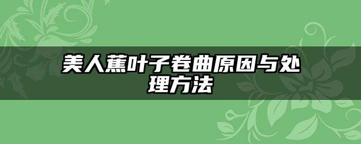 美人蕉叶子卷曲原因与处理方法