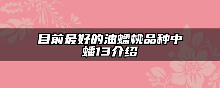 目前最好的油蟠桃品种中蟠13介绍