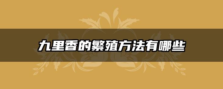 九里香的繁殖方法有哪些