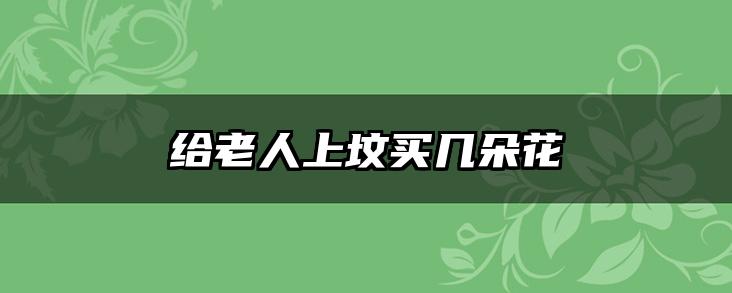 给老人上坟买几朵花