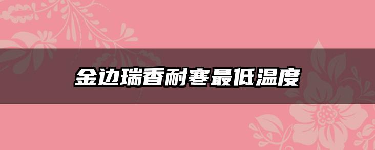 金边瑞香耐寒最低温度