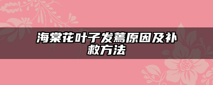 海棠花叶子发蔫原因及补救方法