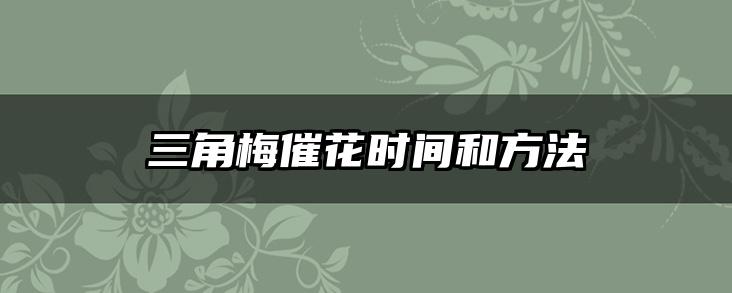 三角梅催花时间和方法
