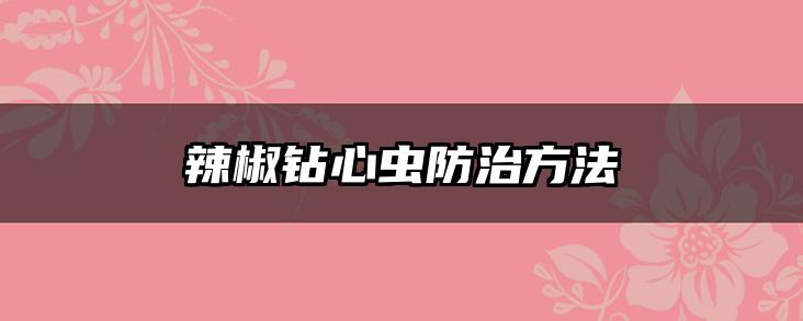 辣椒钻心虫防治方法