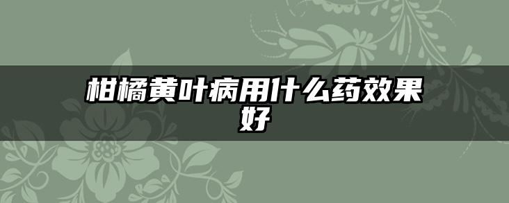 柑橘黄叶病用什么药效果好