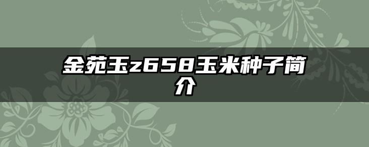 金苑玉z658玉米种子简介