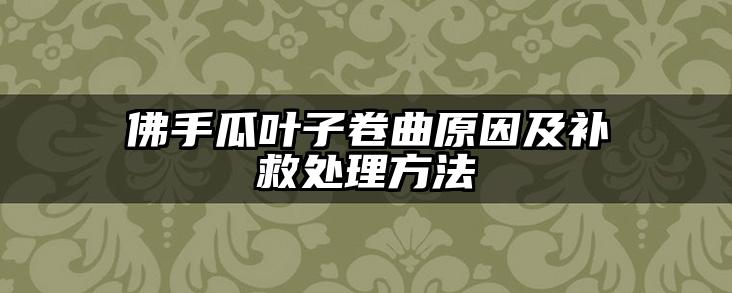 佛手瓜叶子卷曲原因及补救处理方法