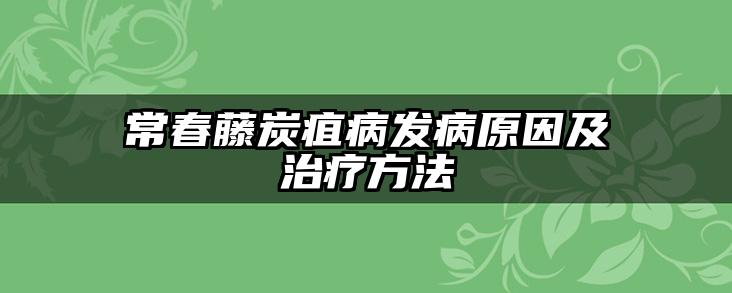 常春藤炭疽病发病原因及治疗方法