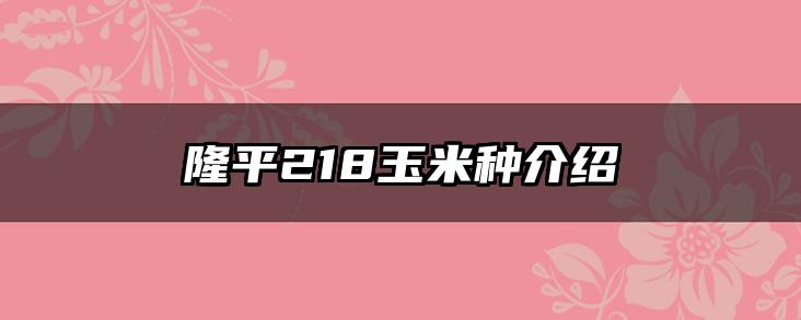 隆平218玉米种介绍