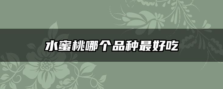 水蜜桃哪个品种最好吃