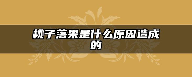 桃子落果是什么原因造成的