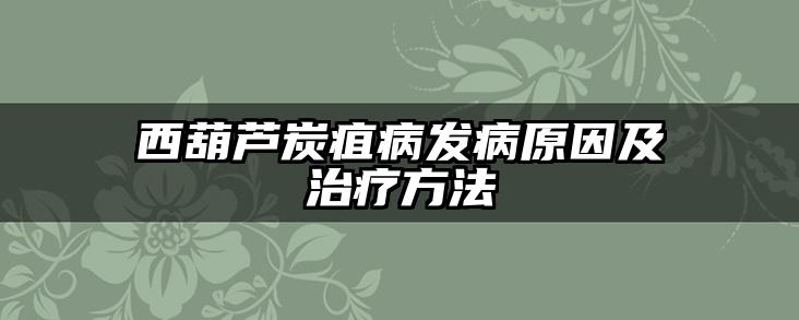 西葫芦炭疽病发病原因及治疗方法