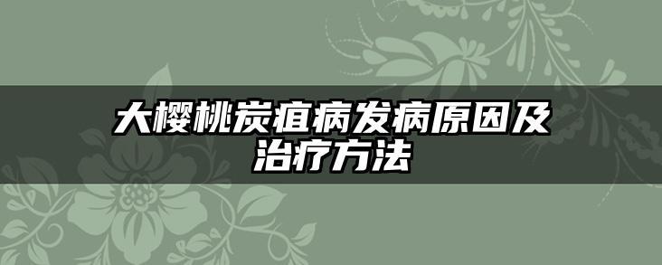 大樱桃炭疽病发病原因及治疗方法