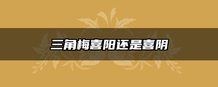 三角梅喜阳还是喜阴