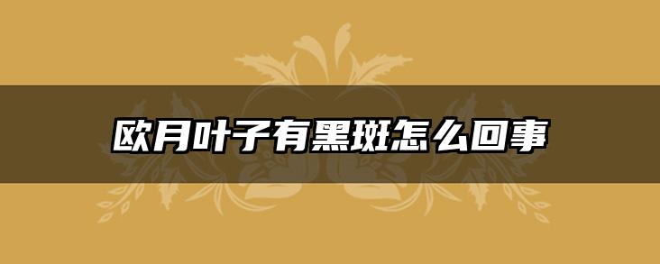 欧月叶子有黑斑怎么回事