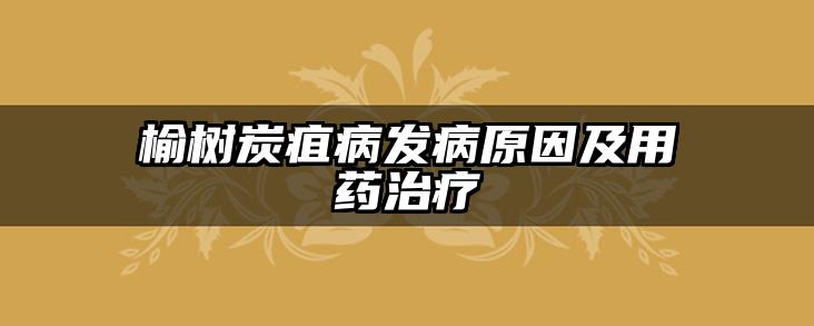 榆树炭疽病发病原因及用药治疗