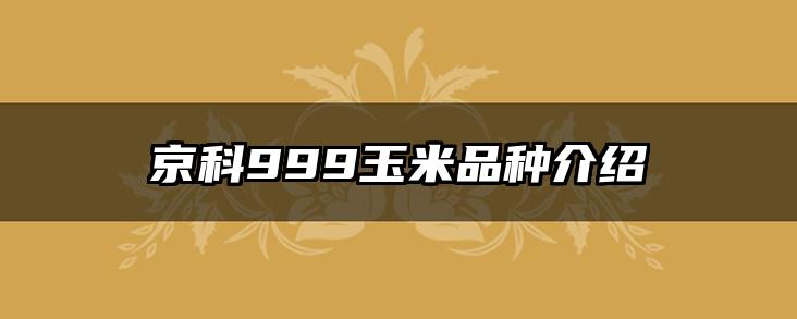 京科999玉米品种介绍