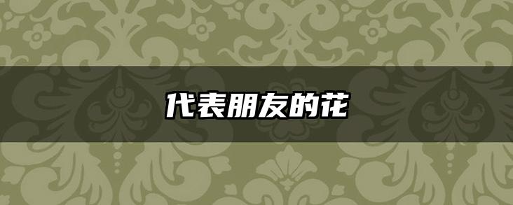 代表朋友的花