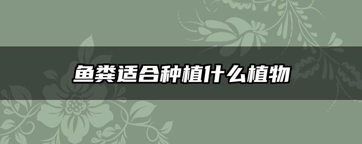 鱼粪适合种植什么植物