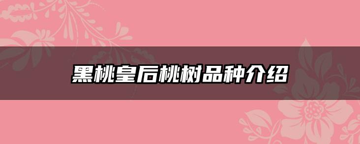 黑桃皇后桃树品种介绍