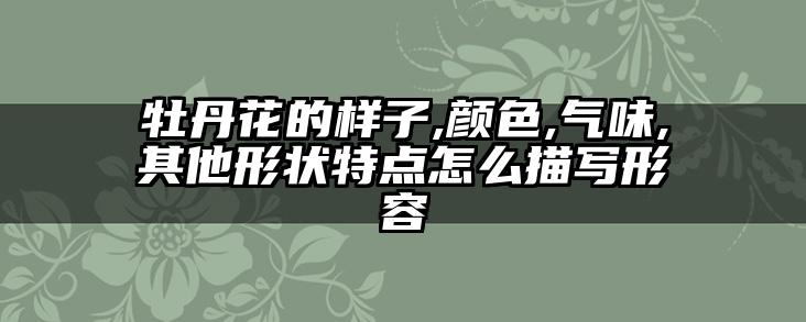 牡丹花的样子,颜色,气味,其他形状特点怎么描写形容