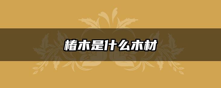 椿木是什么木材