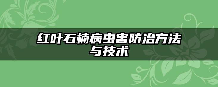 红叶石楠病虫害防治方法与技术
