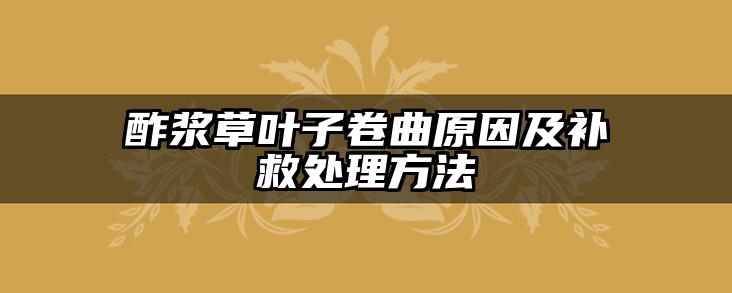 酢浆草叶子卷曲原因及补救处理方法