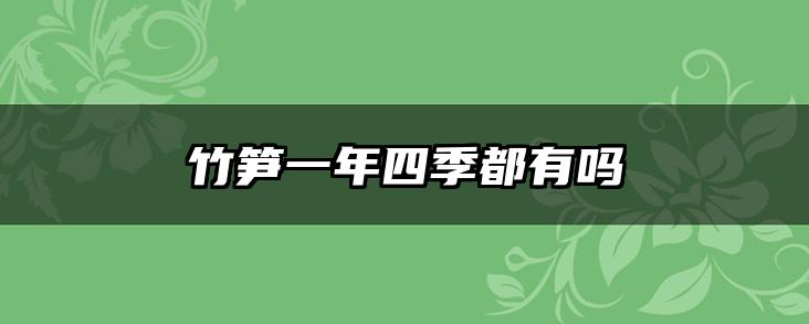 竹笋一年四季都有吗