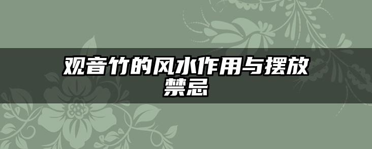 观音竹的风水作用与摆放禁忌