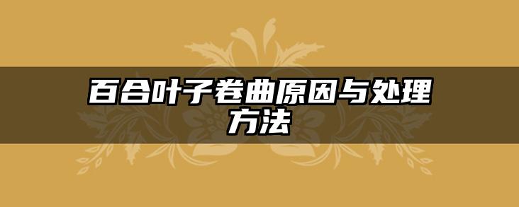 百合叶子卷曲原因与处理方法