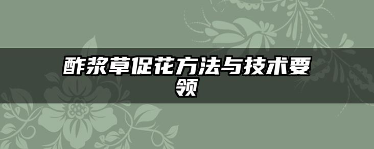 酢浆草促花方法与技术要领