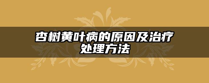 杏树黄叶病的原因及治疗处理方法