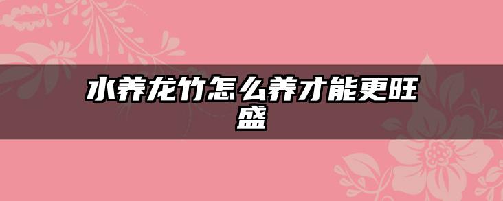 水养龙竹怎么养才能更旺盛