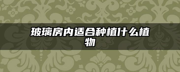 玻璃房内适合种植什么植物