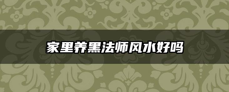 家里养黑法师风水好吗