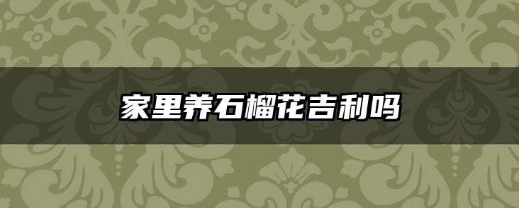 家里养石榴花吉利吗