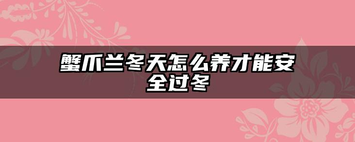 蟹爪兰冬天怎么养才能安全过冬