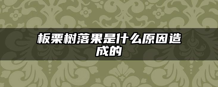 板栗树落果是什么原因造成的