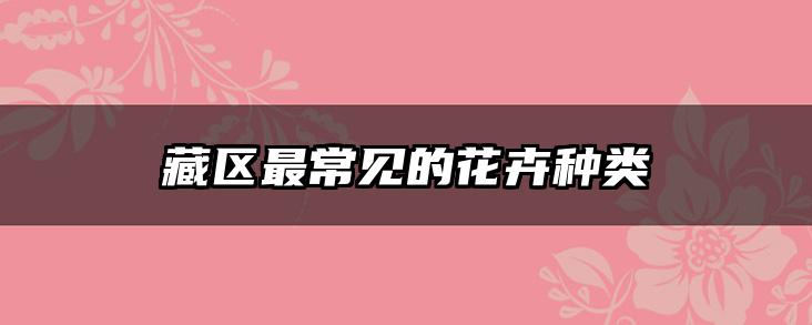 藏区最常见的花卉种类