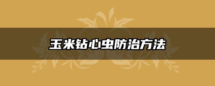 玉米钻心虫防治方法