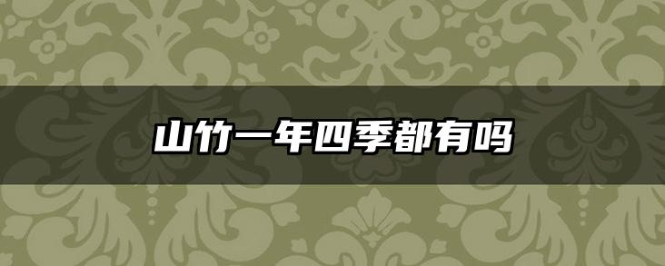 山竹一年四季都有吗