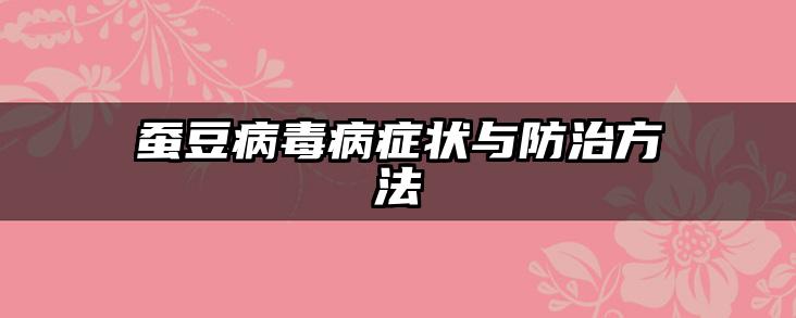 蚕豆病毒病症状与防治方法