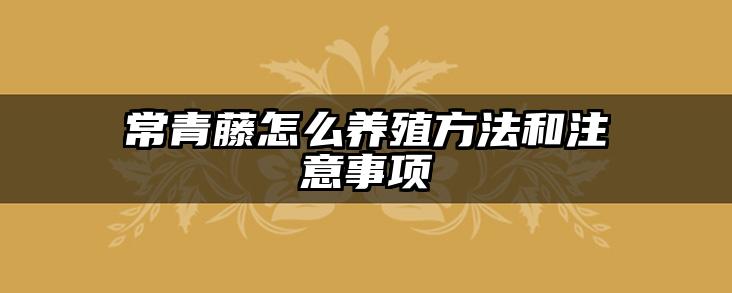 常青藤怎么养殖方法和注意事项