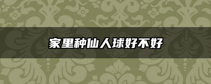 家里种仙人球好不好
