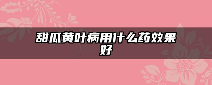 甜瓜黄叶病用什么药效果好