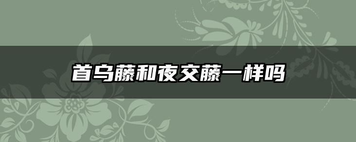 首乌藤和夜交藤一样吗